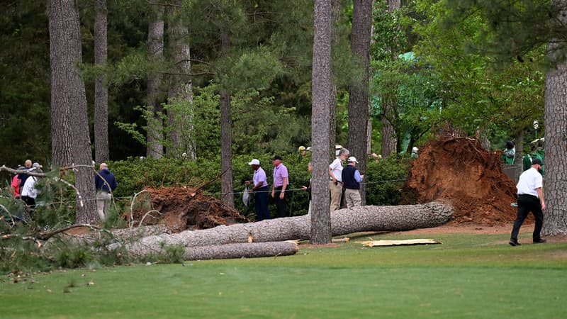 La chute d'un arbre massif au Masters d'Augusta, le 7 avril 2023