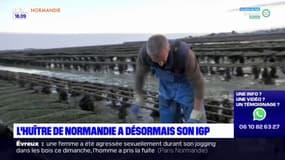 L'huître de Normandie a désormais son Indication géographique protégée