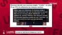 "Ça reflète l’état d’esprit d’une grande partie des Français": Stromae dévoile son nouveau titre sur la dépression en direct au 20H de TF1