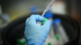 Une femme travaille sur un vaccin contre le cancer dans le laboratoire nantais Ose Immunotherapeutics, le 2 octobre 2023 (image d'illustration)
