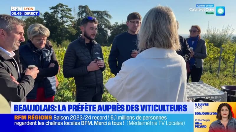 Beaujolais: la préfète auprès des viticulteurs (1/1)