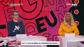 Faut-il plus de bébés ou d'immigrés en France ? - 17/05