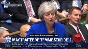 Theresa May traitée de "femme stupide" ?