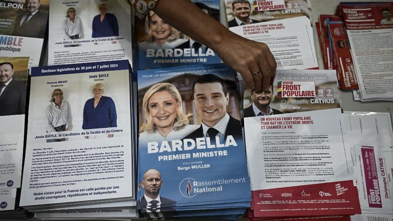 Législatives: en Dordogne, une candidate porte plainte pour 