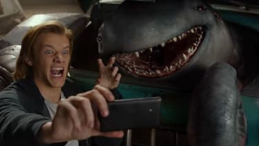 Monster Cars
