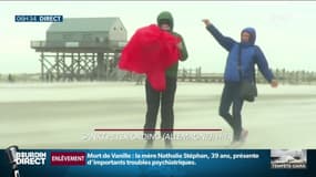 Tempête Ciara: les transports perturbés dans plusieurs pays d'Europe