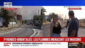 Allume-feu En Pin – Bâtonnets De Bois Résineux – Démarrage Rapide, Résistant à L’humidité – Pour Poêle, Cheminée, Camping Et Survie