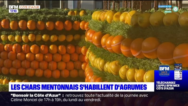 Menton: la fête du citron se prépare, les chars se parent d'agrumes