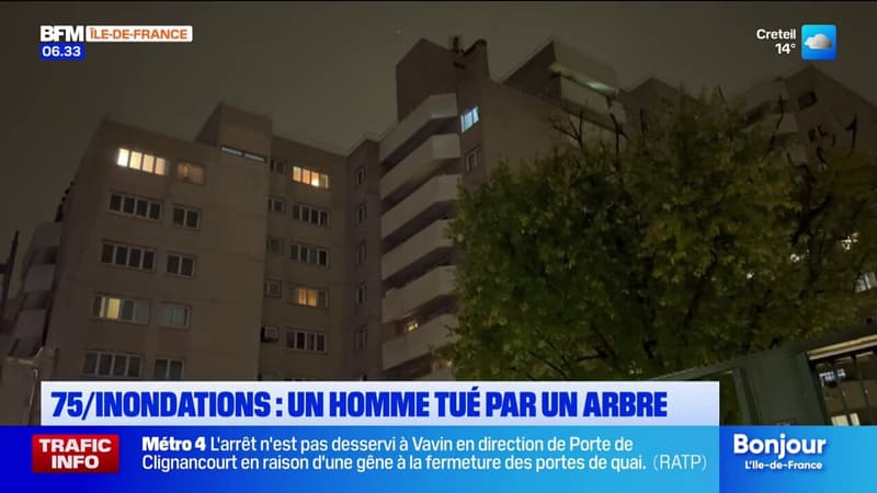 Inondations à Paris: un homme tué par un arbre