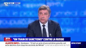 L'ambassadeur de l'Ukraine affirme avoir fait appel à la France pour demander "des moyens de protection" à la France