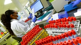 Une technicienne en laboratoire travaille sur des prélèvements de tests PCR au plateau technique de Chambray-les-Tours, le 30 octobre 2020