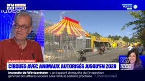 Cirque installé à Strasbourg: la mairie ne veut plus que "la nature soit utilisée à des fins de divertissement"