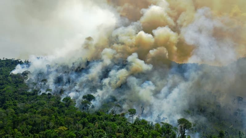 Brésil: près de 3.000 feux en Amazonie, un record pour un mois de février