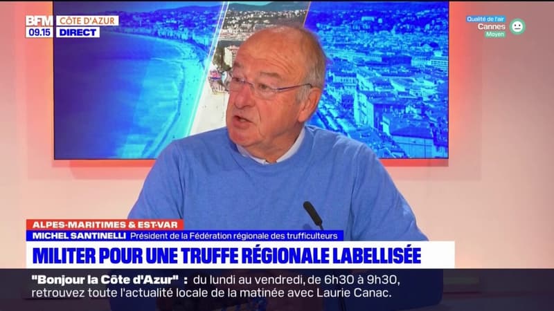 Alpes-Maritimes: une année qui s'annonce "compliquée" pour les trufficulteurs