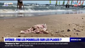 Hyères: les poubelles mise à l'écart du bord de mer pour lutter contre la pollution des plages