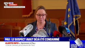 Homme tué à Pau: la procureure de la République indique que "les éléments recueillis permettent d'écarter toute intention terroriste"