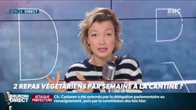 Dupin Quotidien : Deux repas végétariens par semaine à la cantine ? - 09/10