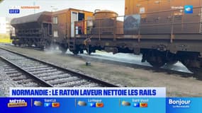 Normandie: le train "Raton laveur" nettoie les rails pour éviter les risques d'accident
