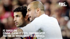 FC Barcelone : Comme Zlatan et Eto'o, Fabregas n'est pas fan du management de Guardiola