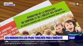 Hauts-de-France: plus de 22% des habitants touchés par l'obésité