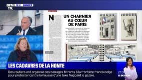 Story 5 : Un charnier au cœur de Paris - 28/11