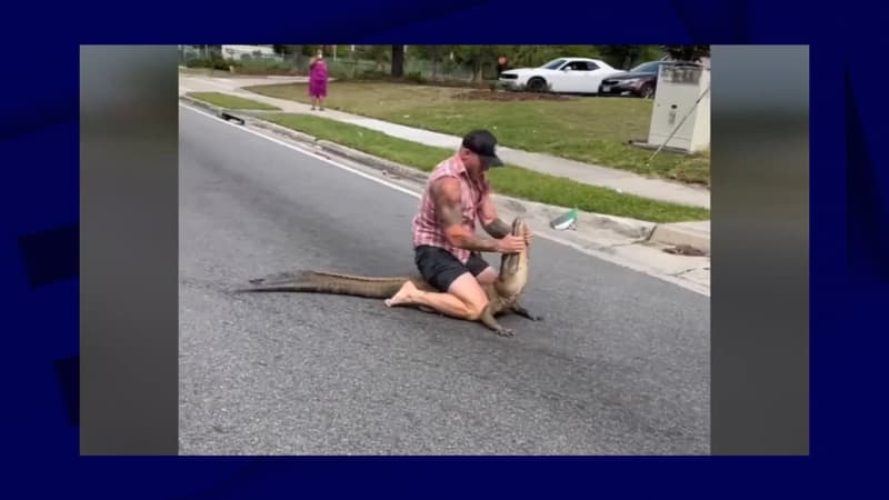 États-Unis: un vétéran de l'armée adepte de MMA capture à main nue un alligator errant