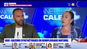 Planète locale du lundi 1er juillet - Var : Gazons synthétiques en remplissage naturel