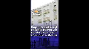 Ce que l'on sait sur le meurtre d'une mère et de ses quatre enfants à Meaux