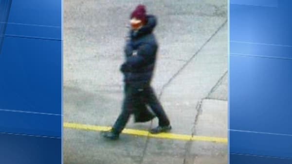 Cet homme est soupçonné d'être à l'origine de la fusillade de Copenhague. La police a diffusé sa photo sur Internet.