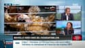 "Dupin Quotidien": l'élevage en batterie de poules pondeuses au cœur d'une nouvelle vidéo choc&nbsp;