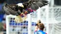 Kayla, l'aigle de Crystal Palace, est décédée.