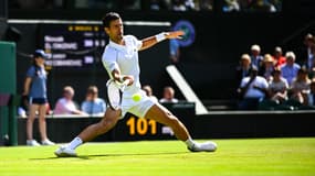 N. Djokovic