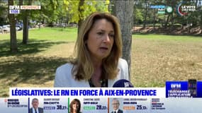 Législatives dans les Bouches-du-Rhône: une triangulaire à Aix-en-Provence, au contraire de la 11e circonscription du département 