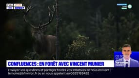 Musée des Confluences: en forêt avec Vincent Munier