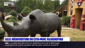 Lille: le Cita-parc rouvre ses portes