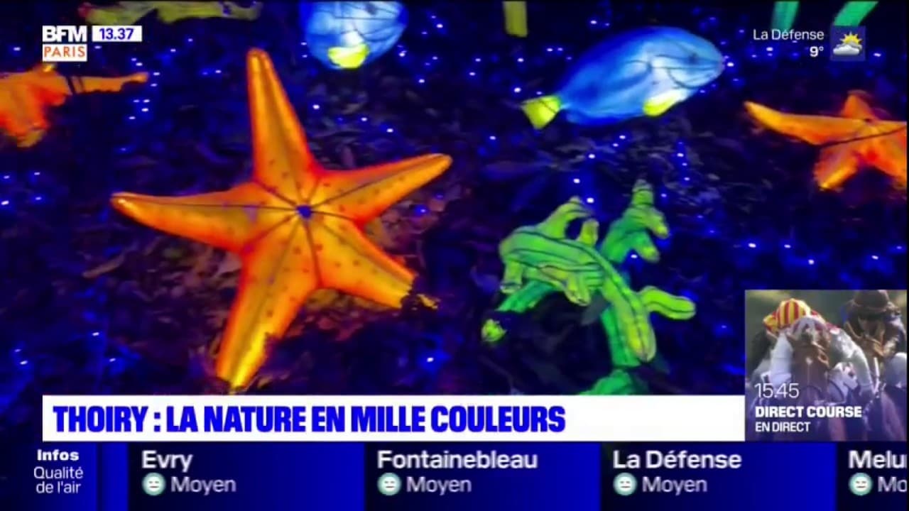 Yvelines : le zoo de Thoiry inondé de mille lumières à la nuit tombée - Le  Parisien
