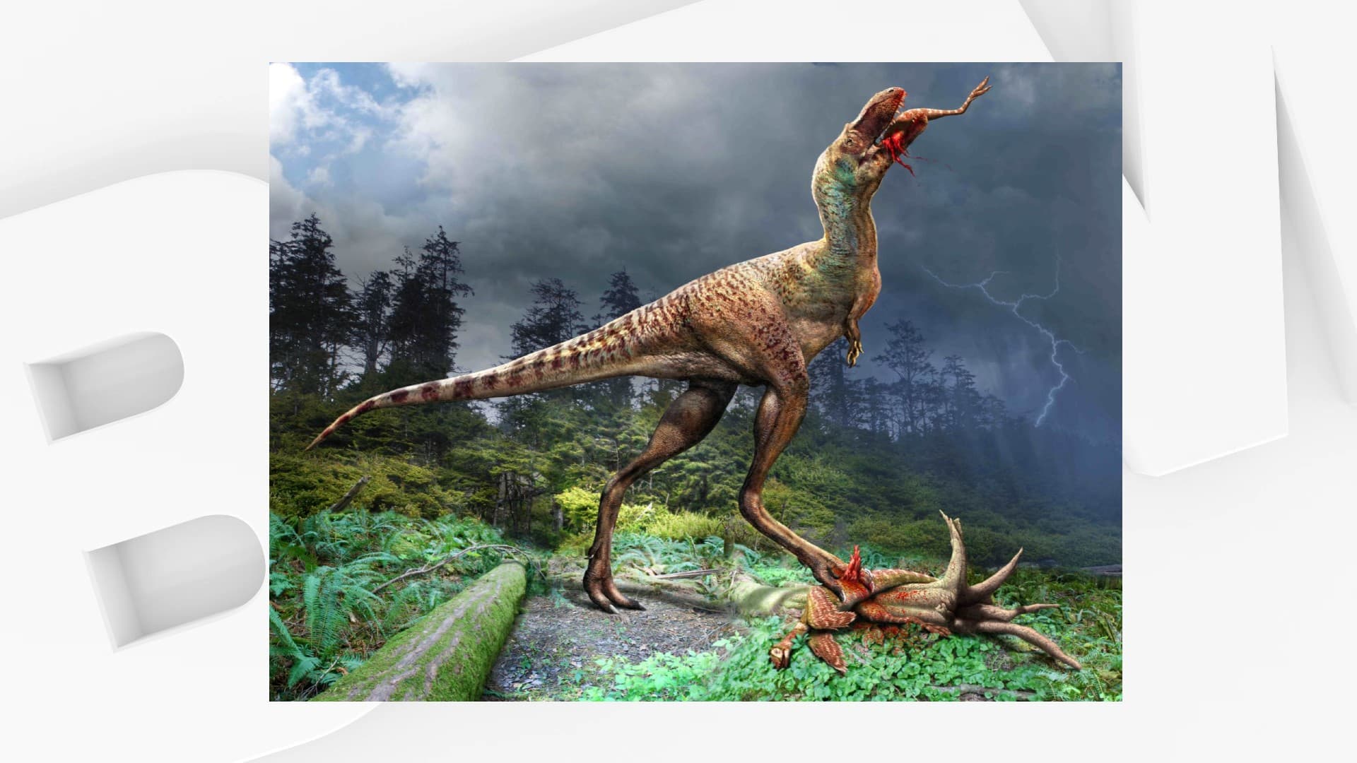 https://images.bfmtv.com/pJAW7UE5a8fHm3Cubp7n3wubwcg=/0x0:1920x1080/1920x0/images/Illustration-d-un-Gorgosaurus-libratus-dinosaure-cousin-du-tyrannosaure-en-train-de-manger-de-petits-dinosaures-de-type-Citipes-elegans-1764644.jpg