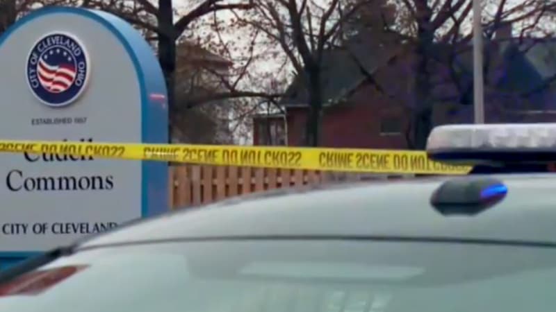 Le jeune garçon jouait avec une arme factice dans une aire de jeu quand des passants ont alerté la police locale.