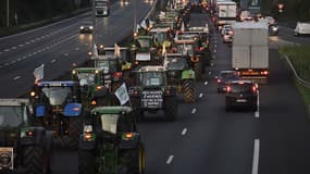 Une manifestation d'agriculteurs (photo d'illustration)