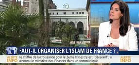Faut-il organiser l'islam de France ? - 29/07