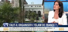 Faut-il organiser l'islam de France ? - 29/07