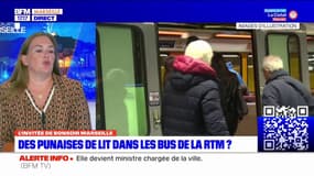 Marseille: des punaises de lit dans les bus de la RTM ? 