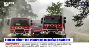 Feux de forêt: les pompiers du Rhône en alerte en ces temps de sécheresse