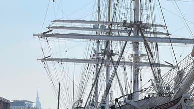 Les premiers visiteurs admirent les navires sur les quais de Rouen pour l'Armada.