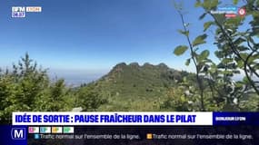 Auvergne-Rhône-Alpes: une pause fraîcheur dans le parc du Pilat