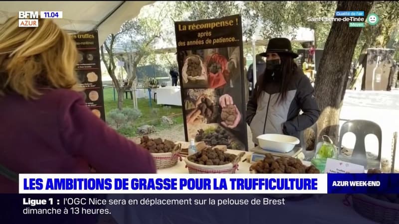 Alpes-Maritimes: un marché de producteurs de truffes ouvre à Grasse