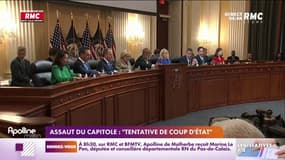 Assaut du Capitole : Donald Trump accusé d'être le principal responsable