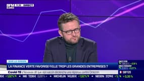 Sur le green : La finance verte favorise-t-elle trop les grandes entreprises ? - 23/12