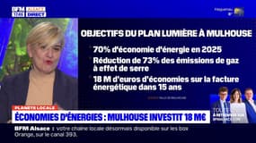 Planète locale du lundi 22 janvier - Mulhouse veut réduire la pollution lumineuse