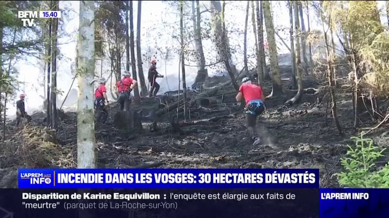 Vosges: l'incendie qui a dévasté 30 hectares a été fixé